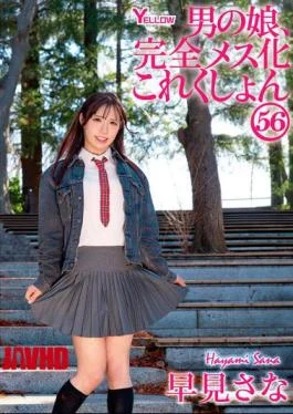 HERY-169 Crossdressing Boys, Complete Feminization Collection 56: Sana Hayami