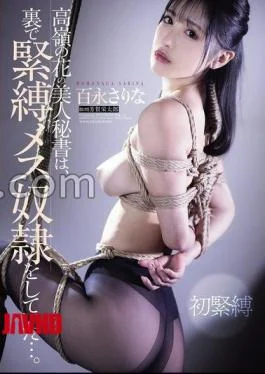 RBK-113 The Beautiful Secretary Who Is Out Of Reach Is Secretly A Bondage Slave Sarina