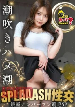277DCV-293 Ginza No. 1 And This Bristle SP 8 Million Yen Insurance For Pubic Hair!?