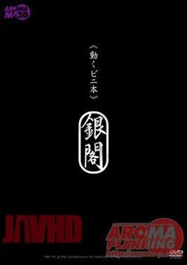 ARMM-010 Ayane Asakura Model Ginkaku Book “vinyl” Moving
