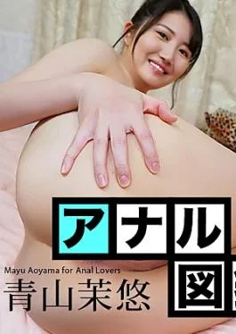 CR-031226-001 Anal Encyclopedia : Mayu Aoyama Anal Encyclopedia Mayu Aoyama