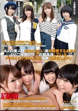 DISM-029 Family, Such As The Adult Video You Have Close Relatives Adultery In Much Under