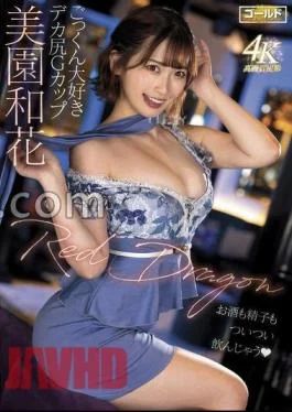 GDRD-035 Red Dragon Waka Misono