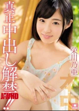 HND-354 Pies Authenticity Ban! Sakaegawa Noa