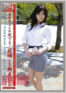 JOB-023 2 VOL.27 Working Woman