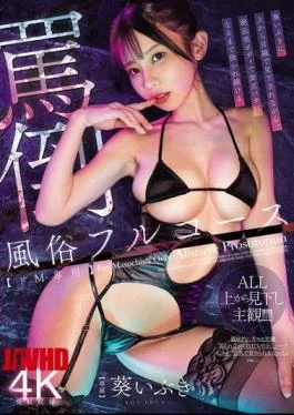 MIDA-737 For Masochists Only A Full Course Of Verbal Abuse Sex Work Where You Are