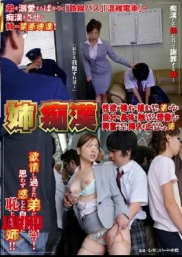 NHDTA-316 Sister, I Could Not Stop The Insertion Would Excite More Than The Imagination But