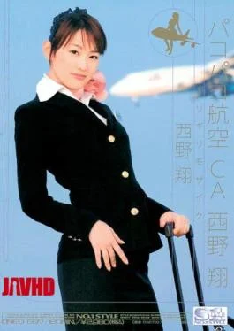 ONED-697 Barely Censored Bumping Airline CA Sho Nishino