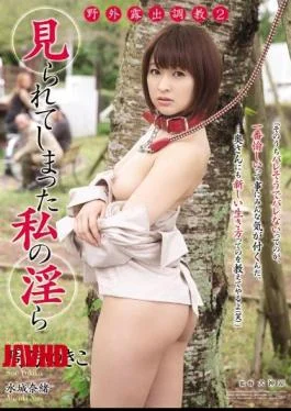 RBD-608 Yukiko Suo Indecent Nao Mizuki My’ve Seen Outdoor Exposure Torture 2