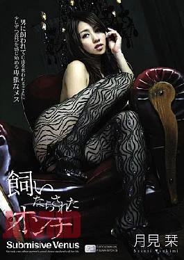 SOE-366 Bookmark Tame Moon Woman