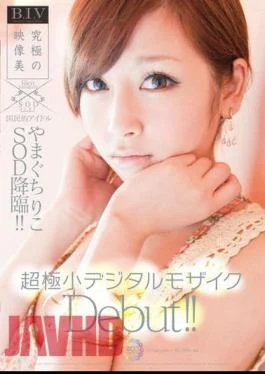 STAR-255 Yamaguchi, Riko SOD Advent National Icon!! Ultra-small Digital Mosaic Debut!!