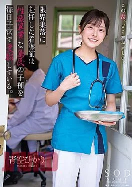START-258 Nurse, Who Has Been Assigned To A Margin Settlement, Conveys The Child’s Species Of