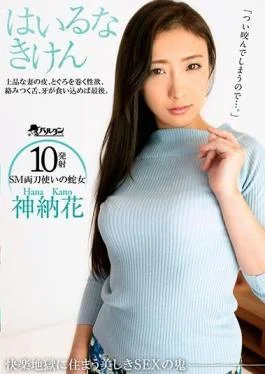 TMDI-080 studio Barutan – Enter Do Abstention