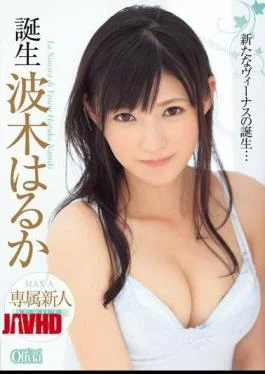 XVSR-094 Birth Haruka Namiki